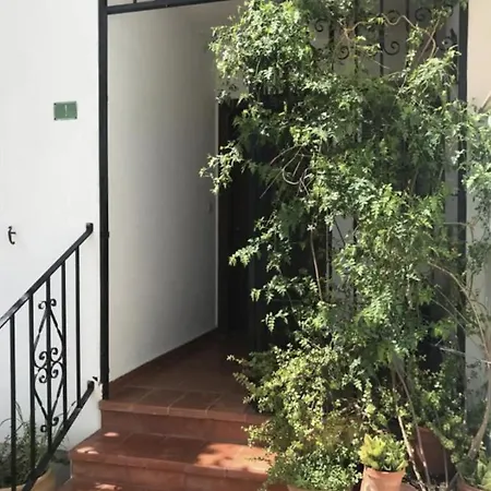 Bajo Con Piscina Y Jardin En